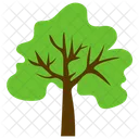 Wald Baum Landwirtschaft Symbol