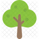 Wald Generisch Baum Symbol