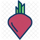 Rote Bete Gemuse Bio Symbol