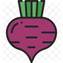 Zuckerruben Rote Bete Gemuse Symbol