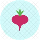 Ruben Wurzel Pflanze Symbol