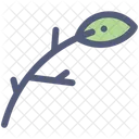 Zweig Blatt Baum Symbol