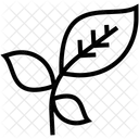 Zweig Blatt Blattchen Symbol