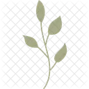 Zweig Blatt Tropisch Symbol