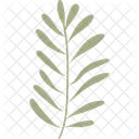 Zweig Blatt Tropisch Symbol