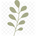 Zweig Blatt Tropisch Symbol