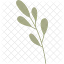 Zweig Blatt Tropisch Symbol