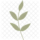 Zweig Blatt Tropisch Symbol