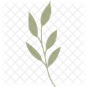 Zweig Blatt Tropisch Symbol