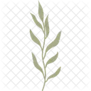 Zweig Blatt Tropisch Symbol