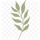 Zweig Blatt Tropisch Symbol