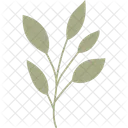 Zweig Blatt Tropisch Symbol