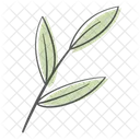 Zweig Blatt Pflanze Symbol