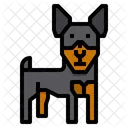 Zwergpinscher Hund Tier Symbol