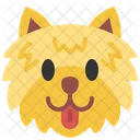 Zwergspitz Hund Haustier Symbol