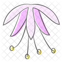 Zwiebel Blume Pflanze Symbol