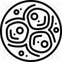 Zygote  Icône