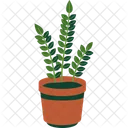 Zz Plant Icon