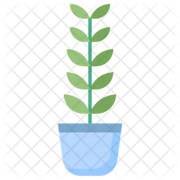 Zz Plant  Icon