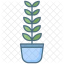 Zz Plant Zz Pot Indoor Plant Icon