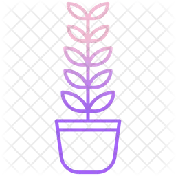 Zz Plant  Icon