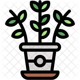 Zz plant  Icon