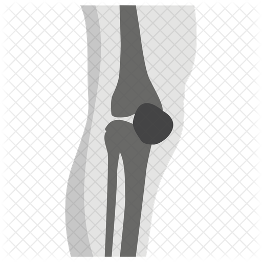 Knee Anatomy Icon - Download In Flat Style