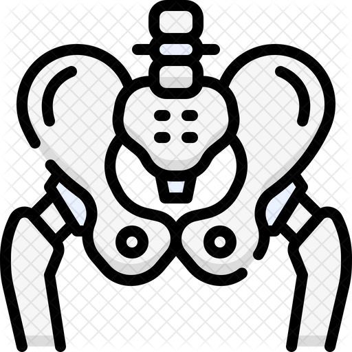 Pelvis Icon - Download in Colored Outline Style