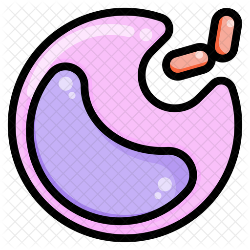 Phagocytosis Icon - Download in Colored Outline Style