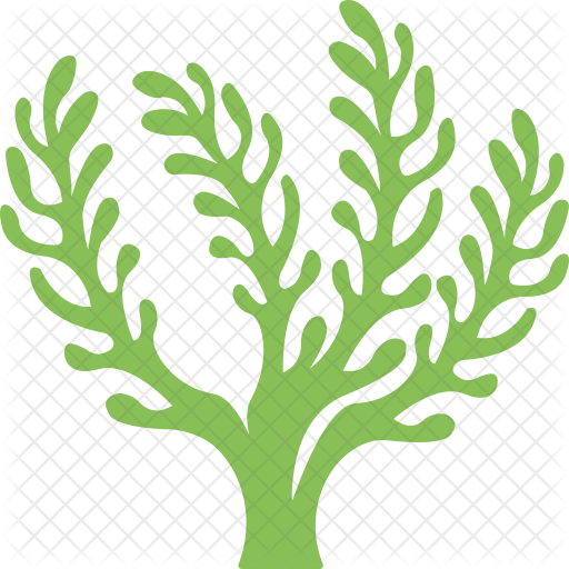 Seaweed Icon Of Flat Style Available In Svg Png Eps Ai Icon Fonts