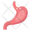 abdominal organ