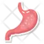 abdominal organ