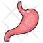 abdominal organ