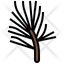 침상