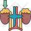 Adrenal