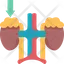 Adrenal