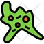 Amoeba