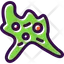 Amoeba