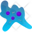 Amoeba