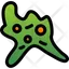 Amoeba