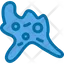 Amoeba