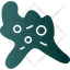 Amoeba