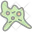 Amoeba