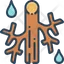 Angio