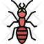 Ant
