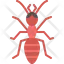 Ant