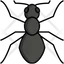 Ant