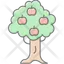 Apple orchard