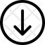 Arrow Down Circle