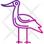 avocet